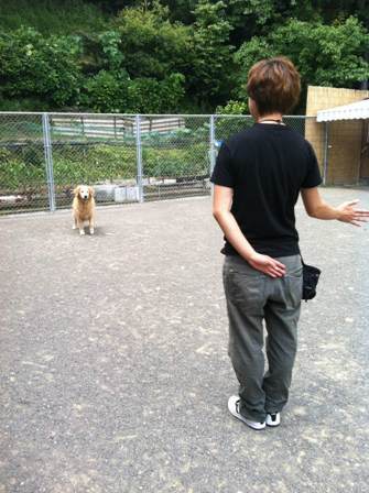 預かりトレーニング