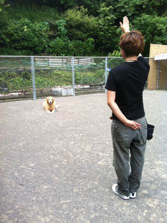 基本トレーニング